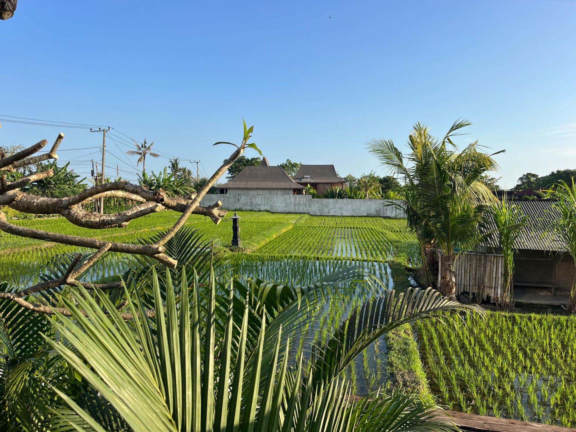 Unit Space Village Canggu Exteriér fotografie